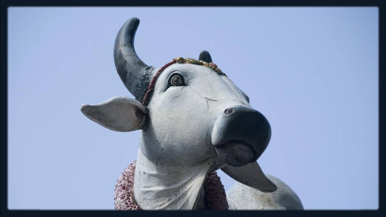 Greg Reese: Sacred Cows & The Dangers Of Eating Bugs - 8/20/22