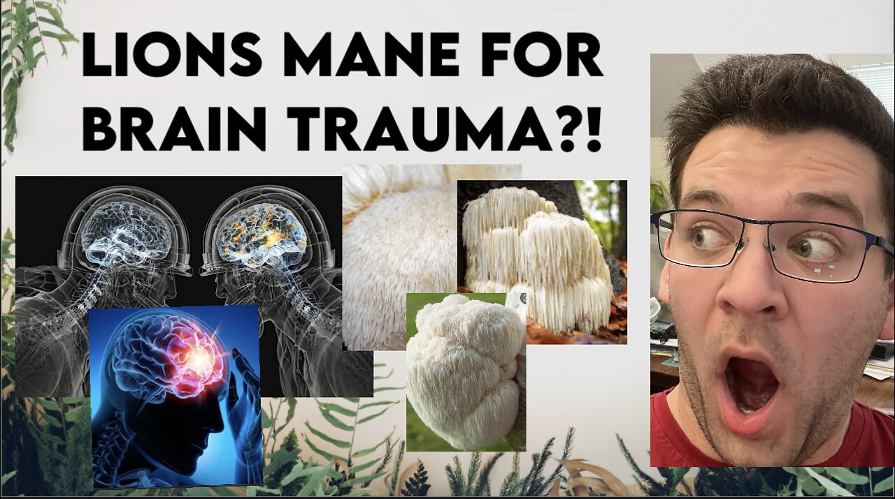 Lions Mane for Brain Trauma?!