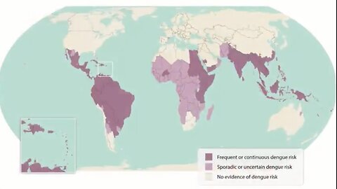 THE DENGUE DROP SHOT (Dr. Sam Bailey)