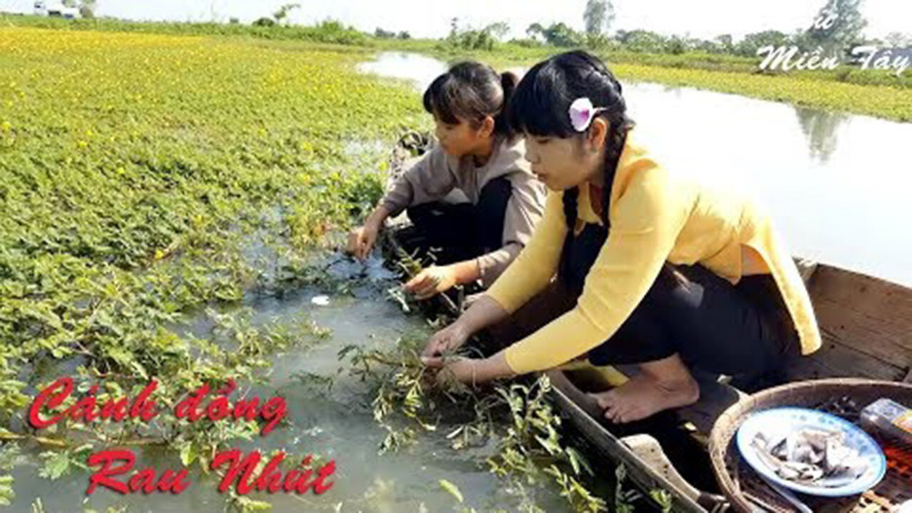 Village women eat fish pickled in vinegar in the vegetable field