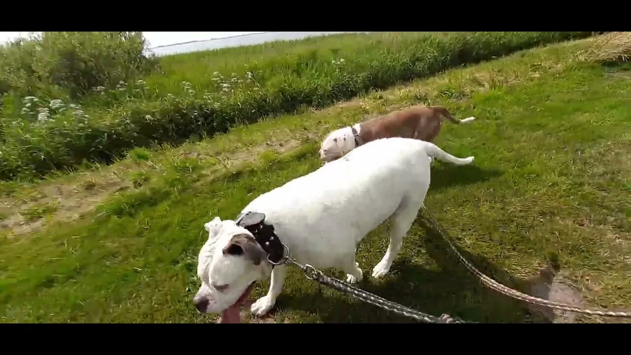 Famke en Winnie in Yndyk langs de Fluessen.