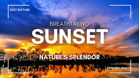 Sunset Ambience by the Water | Deep Relaxation | Background Video | 1 hour loop