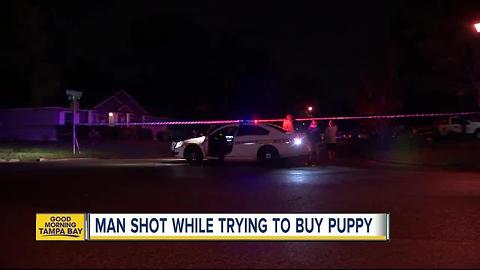 Florida man shot, killed in front of kids while buying puppy through Facebook ad