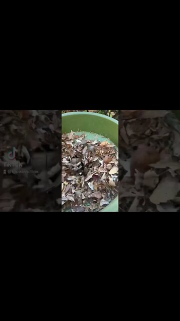 Spring cleaning. Has never been so easy 😀