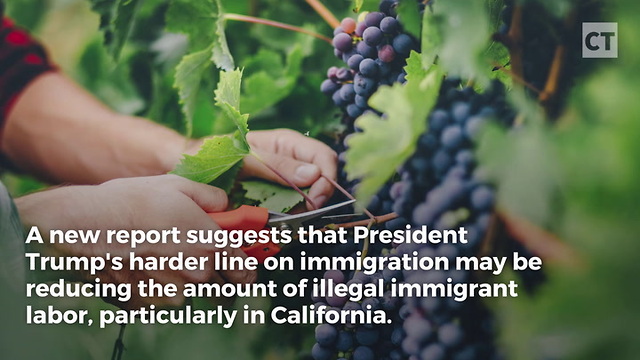 California Suffering From Trump Immigration Crackdown