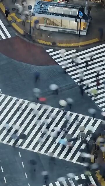 Life is simple, yet full of endless possibilities.💥