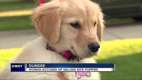 Michigan woman faces jail time for allegedly selling 12 sick puppies