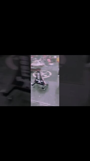 True Love 🥰❤️ #shorts