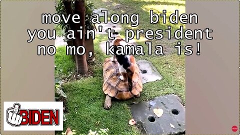 move along biden you ain't president no mo, kamala is