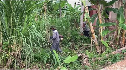 Help the elderly couple transform the garden Clean the house Clear the trees for free