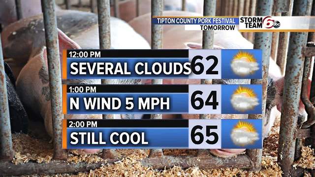 Wednesday Night Forecast