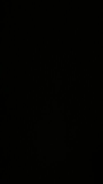 Voted for Trump today and I feel great about it! 🇺🇸