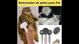 Removedor de pelos para Pet 2023