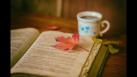 WHAT HAPPENED TO YOU ~ PART 3