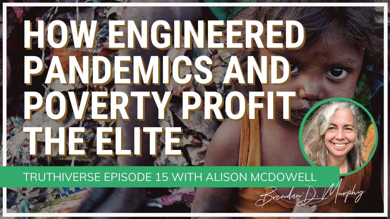 How Engineered Pandemics & Poverty Profit the Elite: Enter the Great Reset - with Alison McDowell