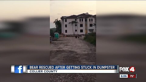 Sergeant finds bears stuck in dumpster at apartment complex