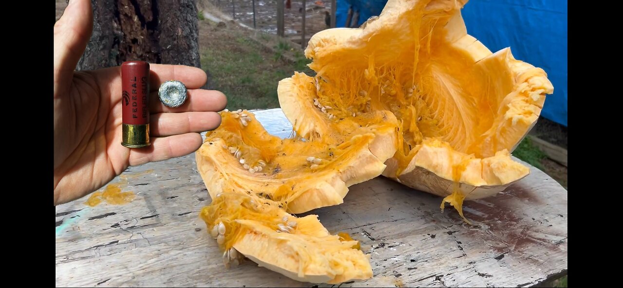 Shotgun Slug vs 44 Pound Pumpkin! (Slow Motion)