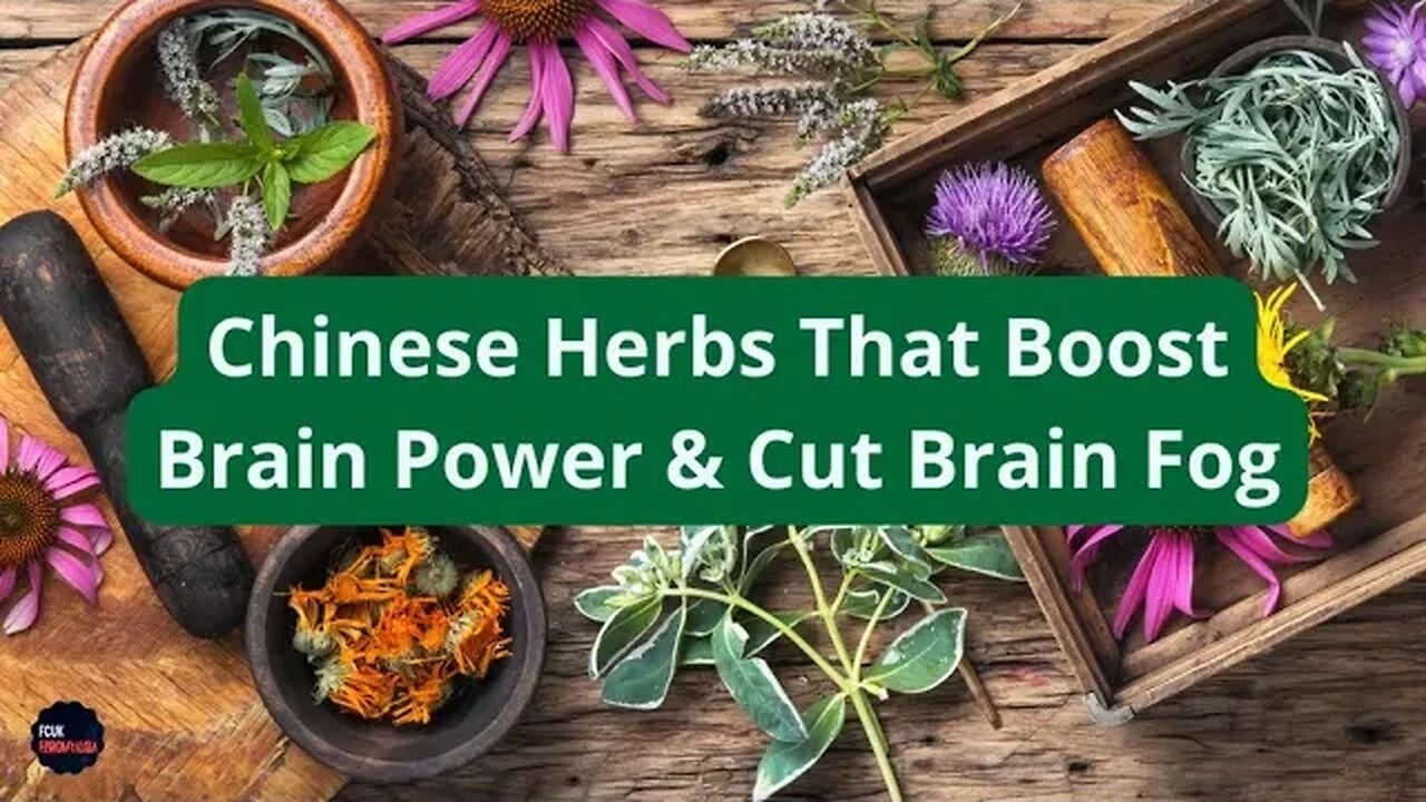 Amazing Chinese Herbs That Help to Reduce BRAIN FOG