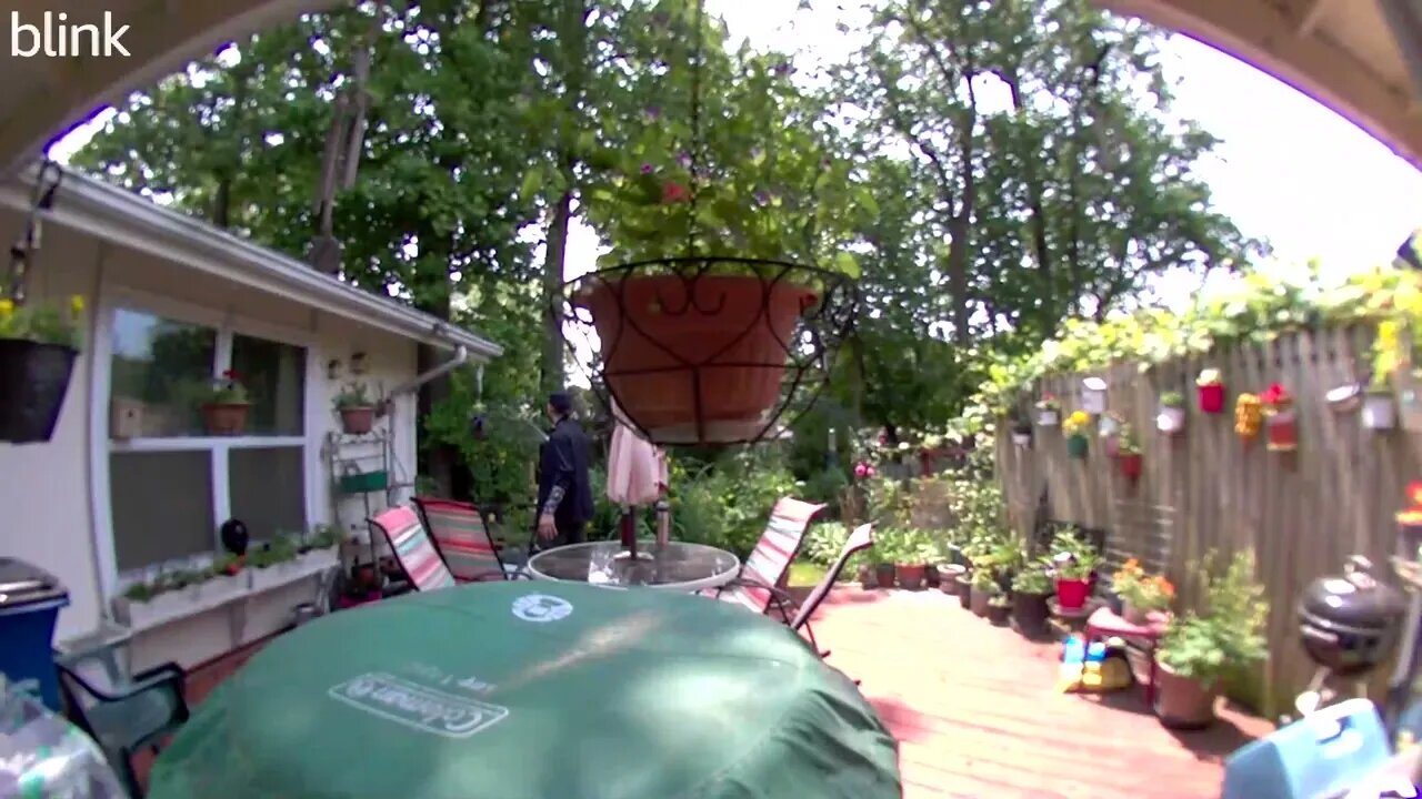 SOUTH_VIDEO_DOOR_BELL_2023-05-22T12_01_03-0400.mp4