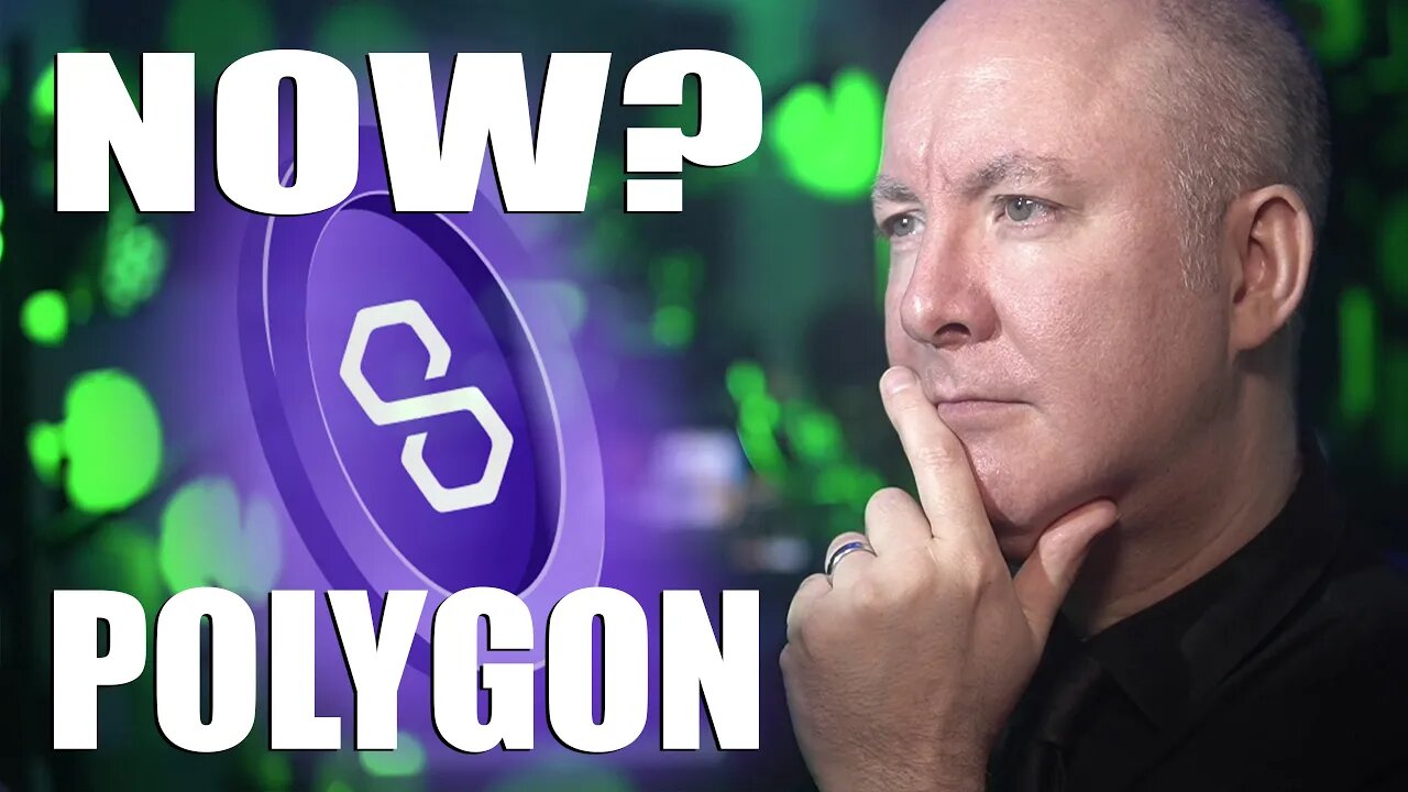 POLYGON MATIC. UPDATE! NOW WHAT? Thanks Robinhood - Martyn Lucas Investor @MartynLucas