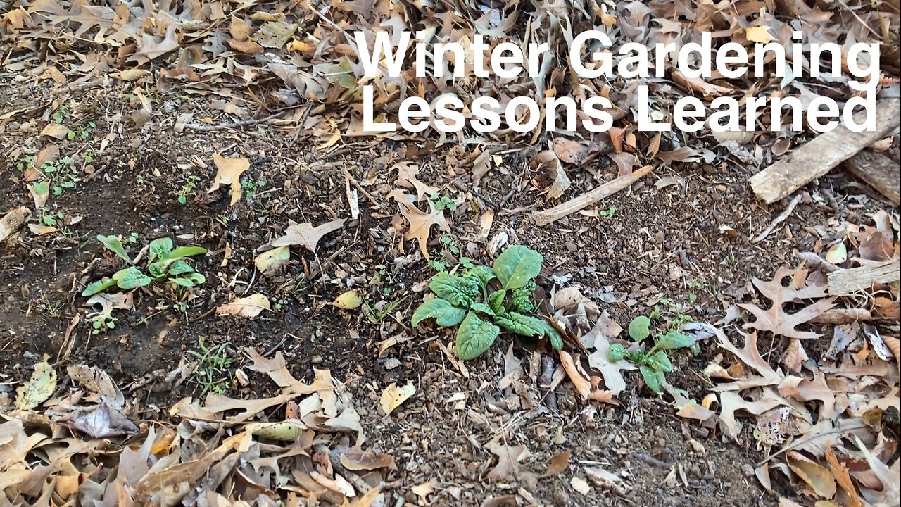 Gardening Through Winter: Lessons Learned