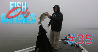 Foggy Tennessee River Largemouth