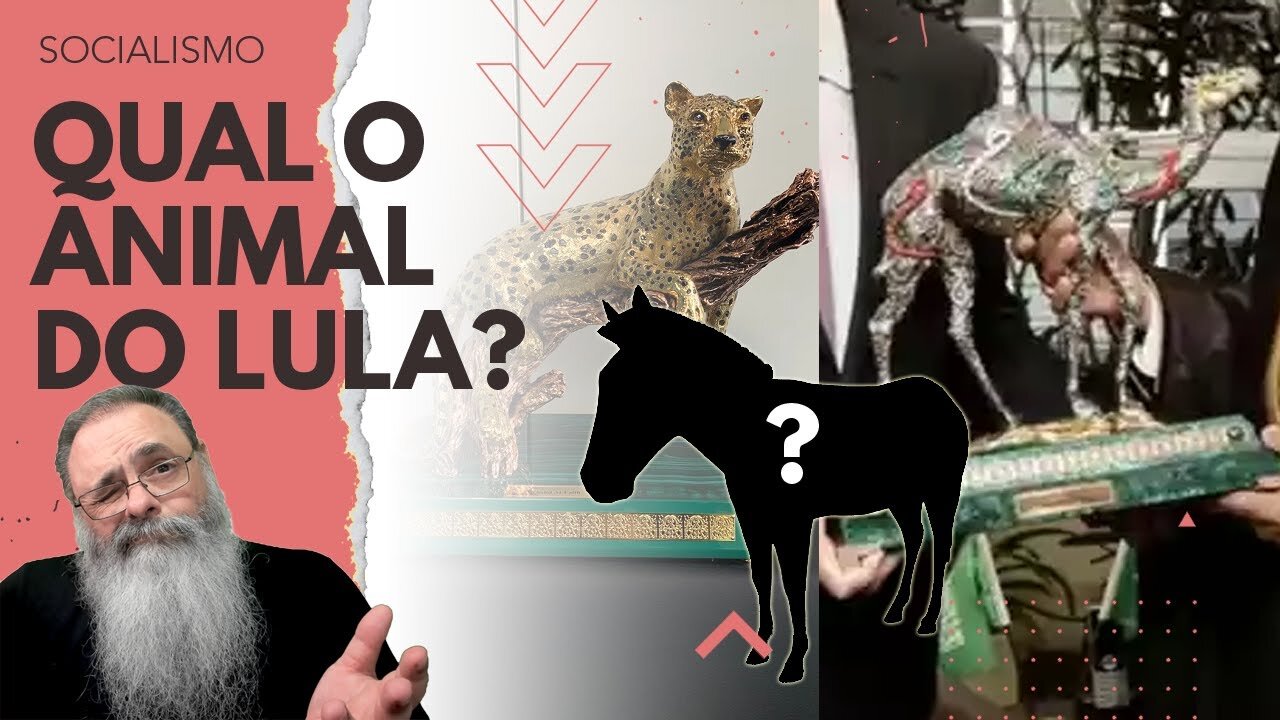 LULA ganhou que ANIMAL de OURO? JÁ devolveu? HADDAD ganhou ONÇA, ALCKMIN ganhou CAMELO, e o LULA?