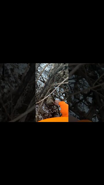 Well that Happened QUICK