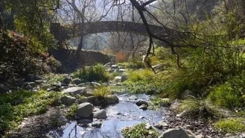 Yardism Live 9-30-22