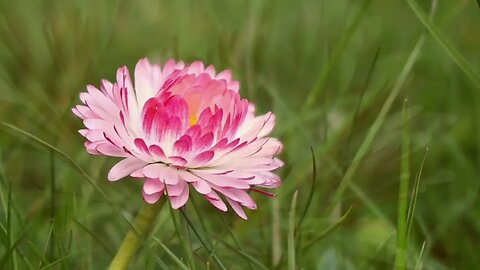 #menkıbe EN GÜZEL MENKIBELERDEN BİR BÖLÜM / "İBADETİ KORUMAK "