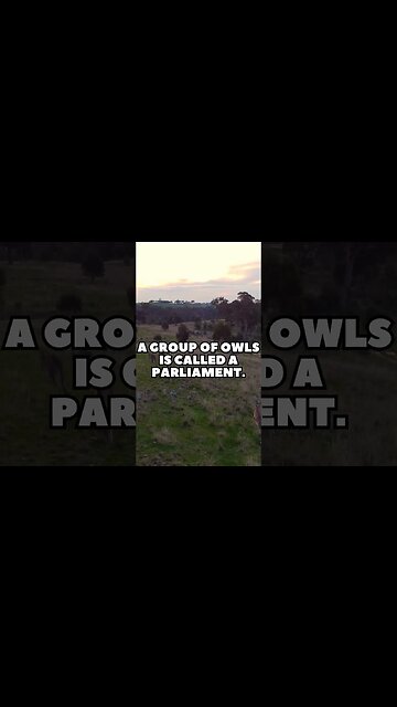 Incredible Random Facts That Will Expand Your Mind! [2023] #shorts #facts #viralshorts #fyp #life