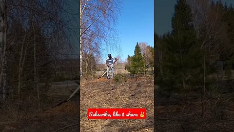 Planted my First Christmas Tree 🌲|project 101| #short #shorts #shortvideo #shortsvideo #shortsfeed