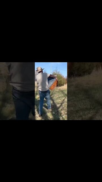 We Beekeeping Busy…