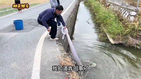 Cast a net to catch fish