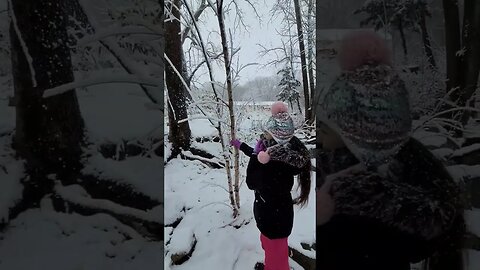 Cool sounds snippets from our videos nature, singing, piano, winter sounds