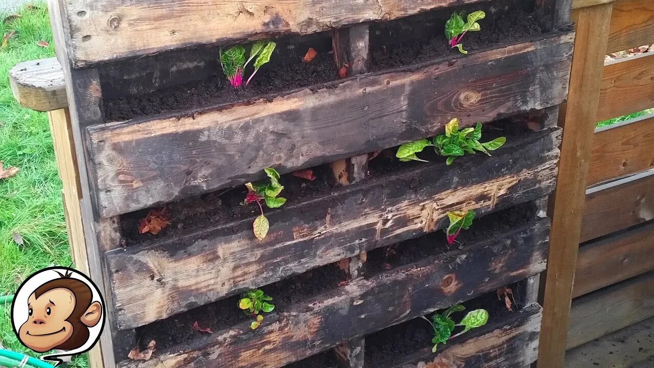 Pallet Planter | Vertical Shou Sugi Ban Style