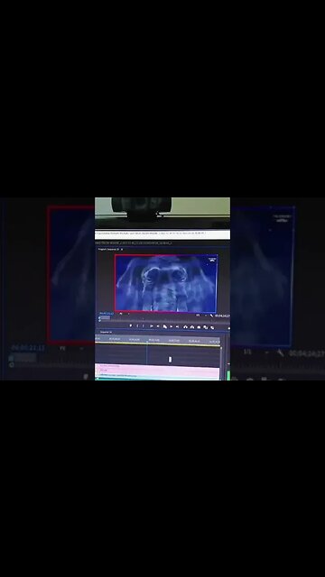 O QUE É LUFFY GEAR 5? | Entenda como Funciona a Transformação de One Piece