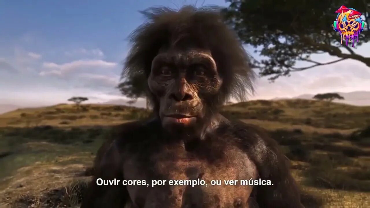 Teoria do Macaco chapado - psilocybe cubensis