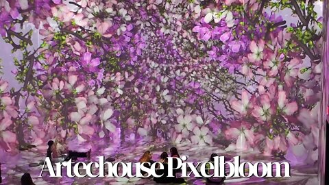 Artechouse DC | Pixelbloom 2022