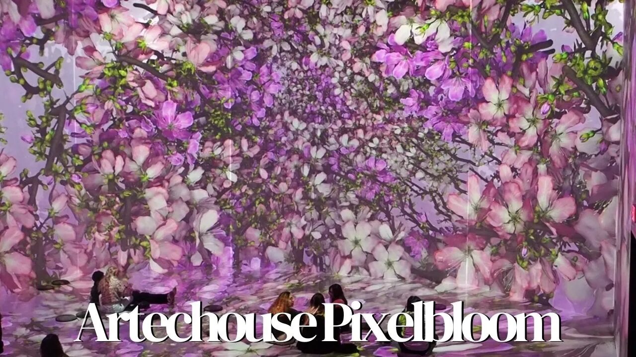 Artechouse DC | Pixelbloom 2022