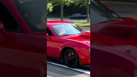 Hellcat Demon Driver gets arrested