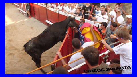 CADREITA ( NAVARRA ) VACAS PLAZA TARDE Y NOCHE ( SÁBADO 16 JULIO 2022 ) SANTOS ZAPATERIA