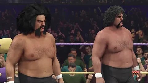 The Wild Samoans vs. The Ultimate Tag Team