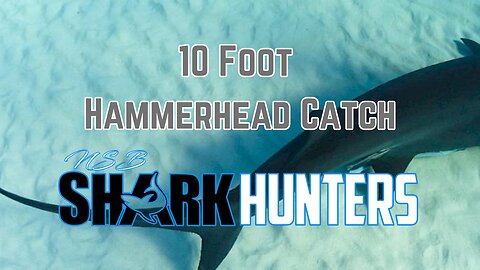 10 Foot Hammerhead Catch With NSB Shark Hunters