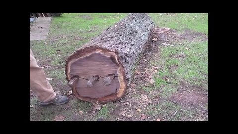 Genius Turns An Old Tree Trunk Into A Masterpiece Without Using A Single Power Tool