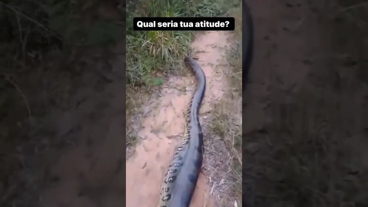 Eita 🤯