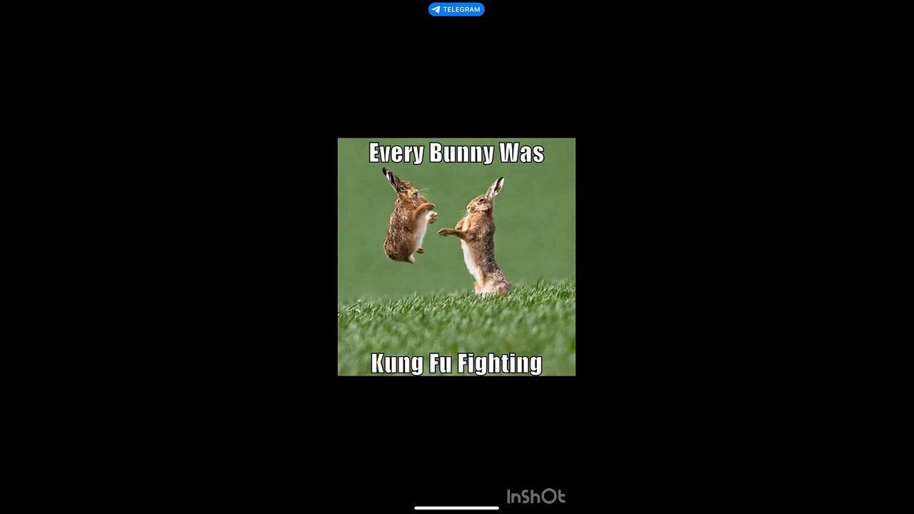 This bunny loves to remember