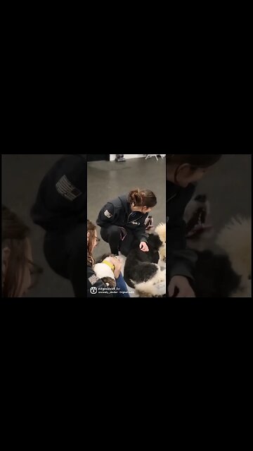 Think about it.... #dog