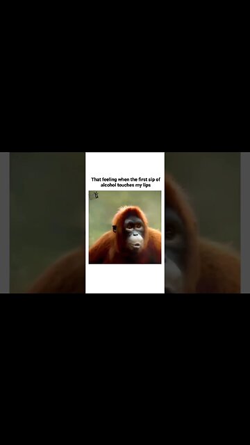 That First Sip #humor #funny #hopsandbrews