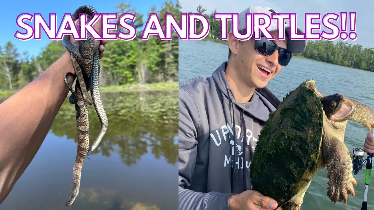 Catching snakes and turtles in Michigan! Herping 2023!